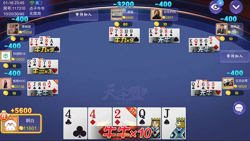 棋牌游戏指南：探索益智社交的多元化娱乐(图2)